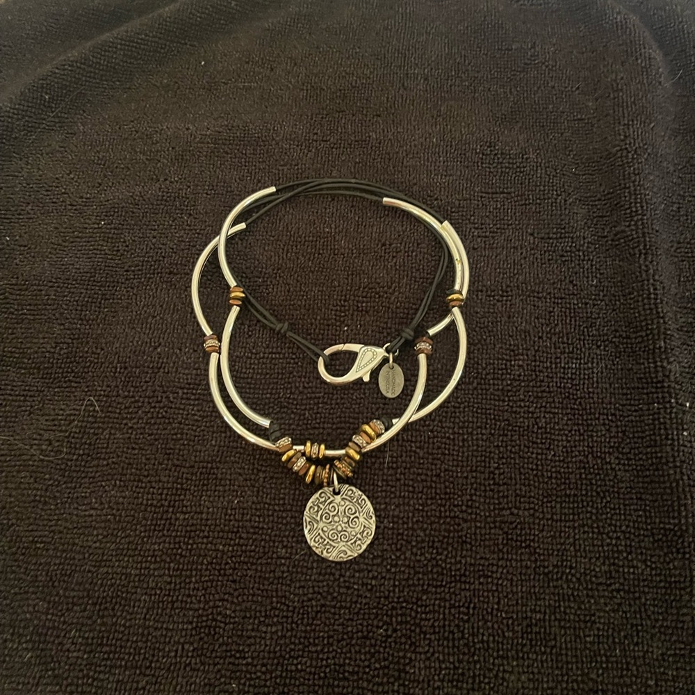 Lizzy James Black and Silver Necklace with Gold Accents